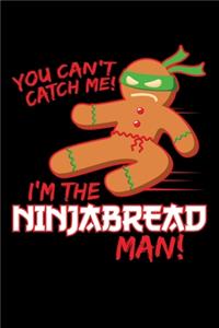 You Can't Catch me! I'm The NinjaBread Man!