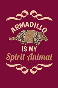 Armadillo Is My Spirit Animal