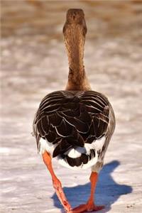 Wild Goose Chase Journal