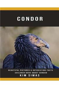 Condor: Beautiful Pictures & Interesting Facts Children Book about Condor