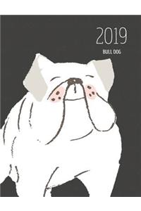 2019 Bull Dog