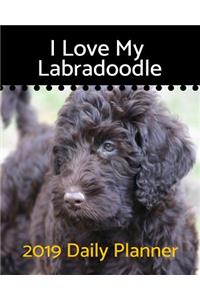 I Love My Labradoodle
