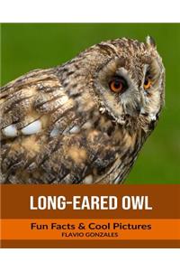 Long-Eared Owl: Fun Facts & Cool Pictures