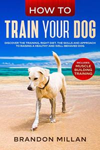 How to Train your Dog