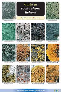Guide to Rocky Shore Lichens