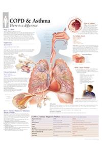 Copd/Asthma Chart