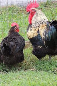 Hen and Rooster Convo on the Farm Country Life Journal: 150 Page Lined Notebook/Diary