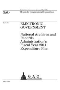 Electronic government