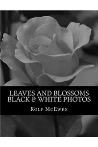Leaves and Blossoms - Black & White Photos