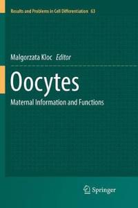 Oocytes