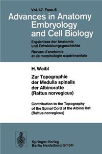 Zur Topographie Der Medulla Spinalis Der Albinoratte (Rattus Norvegicus) / Contributions to the Topography of the Spinal Cord of the Albino Rat (Rattus Norvegicus)