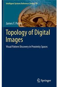 Topology of Digital Images