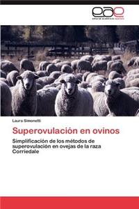 Superovulacion En Ovinos