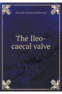 The Ileo-caecal valve