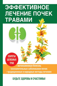 Эффективное лечение почек травами