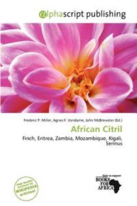 African Citril