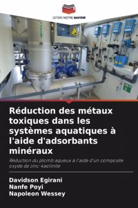 Réduction des métaux toxiques dans les systèmes aquatiques à l'aide d'adsorbants minéraux