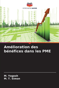 Amélioration des bénéfices dans les PME