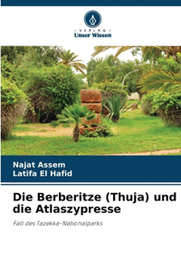 Berberitze (Thuja) und die Atlaszypresse