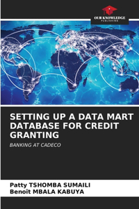 Setting Up a Data Mart Database for Credit Granting