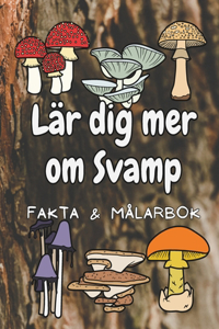 Lär dig mer om Svampar