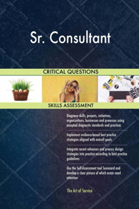 Sr. Consultant Critical Questions Skills Assessment