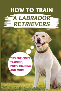 How To Train A Labrador Retrievers