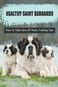 Healthy Saint Bernards