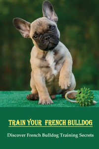 Train Your French Bulldog