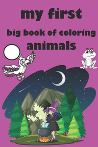 my first big book of coloring animals