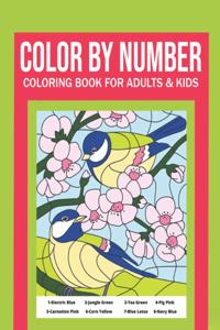 Color By Number Coloring Book For Adults & Kids