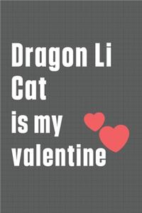 Dragon Li Cat is my valentine