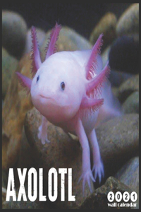 Axolotl 2021 Wall Calendar