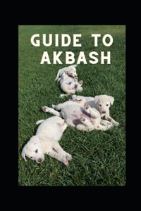 Guide to Akbash