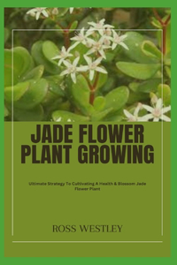 Jade Flower Plant Growing