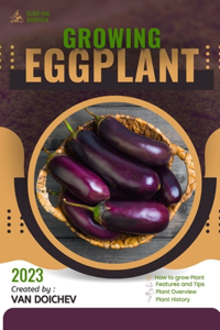 Eggplant