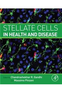 Stellate Cells in Health and Disease