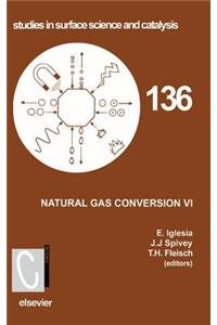 Natural Gas Conversion VI