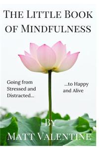 Little Book of Mindfulness