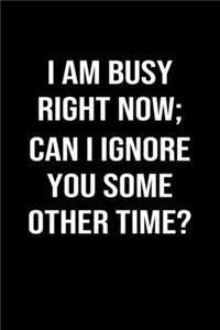 I Am Busy Right Now Can I Ignore You Some Other Time