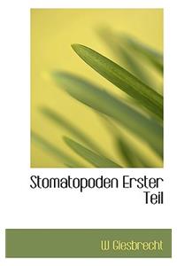 Stomatopoden Erster Teil