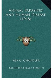 Animal Parasites And Human Disease (1918)