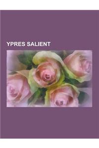 Ypres Salient: Second Battle of Passchendaele, Battle of Messines, Second Battle of Ypres, Battle of Mont Sorrel, Wipers Times, First