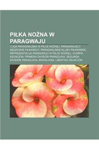 Pi Ka No Na W Paragwaju: I Liga Paragwajska W Pi Ce No Nej, Paragwajscy S Dziowie Pi Karscy, Paragwajskie Kluby Pi Karskie