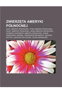 Zwierz Ta Ameryki Po Nocnej: Gady Ameryki Po Nocnej, Ptaki Ameryki Po Nocnej, P Azy Ameryki Po Nocnej, Ssaki Ameryki Po Nocnej