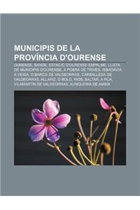 Municipis de La Provincia D'Ourense