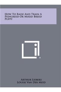 How To Raise And Train A Pedigreed Or Mixed Breed Puppy
