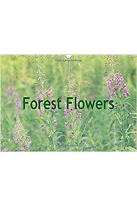 Forest Flowers 2017