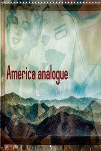America Analogue 2018