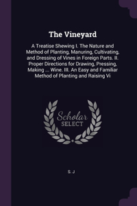 The Vineyard